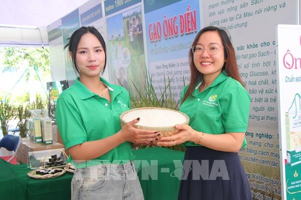 Khai mạc Cuộc thi gạo ngon ĐBSCL: Khi hạt lúa miền Tây thôi dựa vào sản lượng