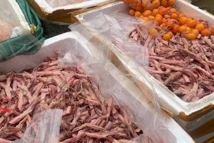 Liên tiếp phát hiện các vụ vận chuyển thực phẩm không rõ nguồn gốc tại biên giới