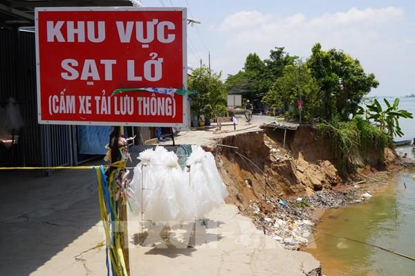 Khắc phục sạt lở bờ sông Tiền tại xã cù lao Long Phú Thuận