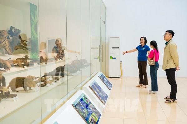 Khám phá "bảo tàng xanh" giữa lòng đại ngàn Cúc Phương