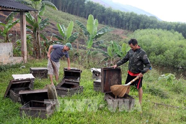 Nửa năm sau thiên tai vẫn chưa được nhận kinh phí tái thiết cuộc sống