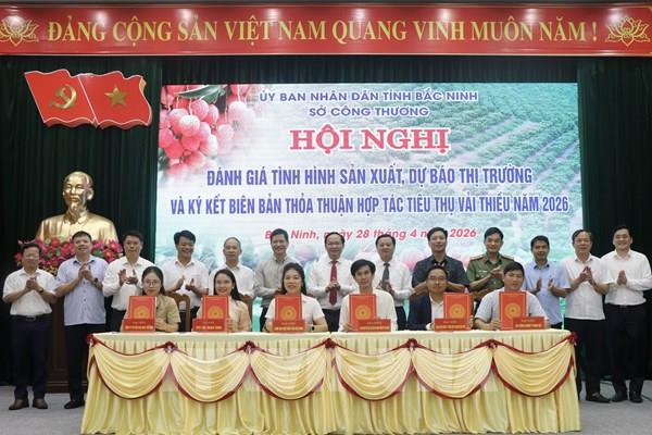 Bắc Ninh xúc tiến thúc đẩy hợp tác, tiêu thụ vải thiều năm 2026