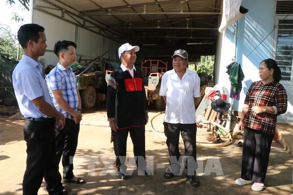 "Bóng cây kơ-nia" của dân bản