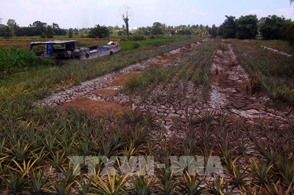 Dự báo thời tiết ngày 30/4: Nam Bộ nắng nóng diện rộng, nguy cơ dông lốc chiều tối