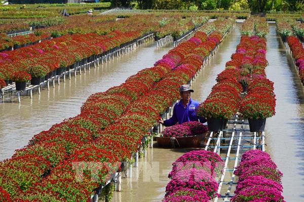 Đồng Tháp đưa làng nghề thành trung tâm bảo tồn văn hóa và du lịch