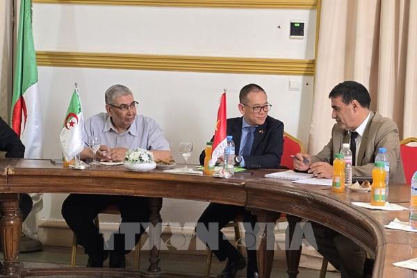 Việt Nam thúc đẩy hợp tác đa lĩnh vực với địa phương Algeria