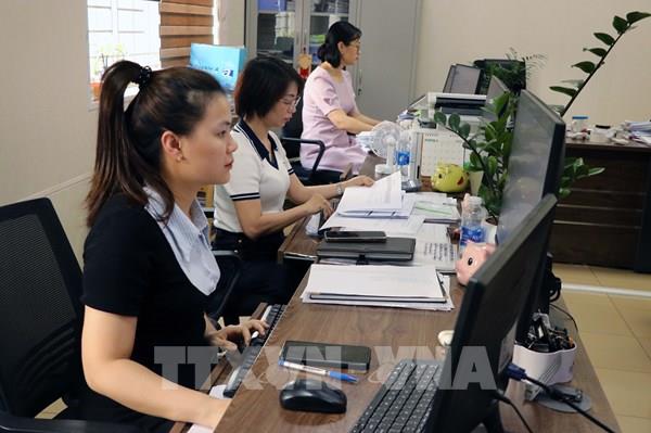 Hải Phòng hoàn thuế thu nhập cá nhân tự động giúp xử lý hồ sơ nhanh