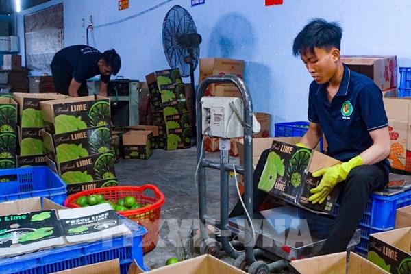 Từ lao động "tay chân” đến "tri thức” trên đồng ruộng
