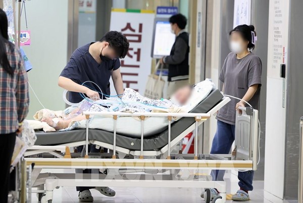 Hàn Quốc phát triển công nghệ nuôi tế bào gốc 3D giúp tăng tỷ lệ sống