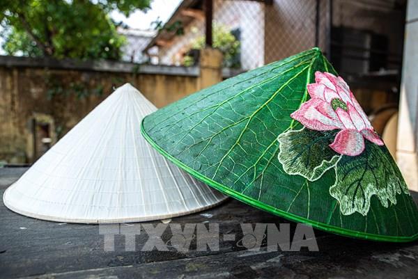 Độc đáo nón lá sen, nón lá bàng xứ Huế