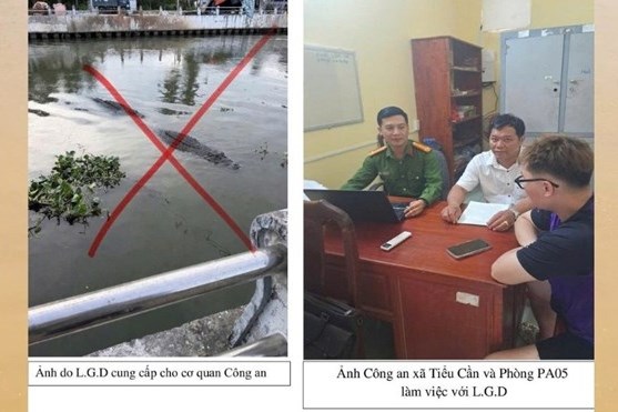 Tin giả cá sấu gây hoang mang, rủi ro chi phí xã hội