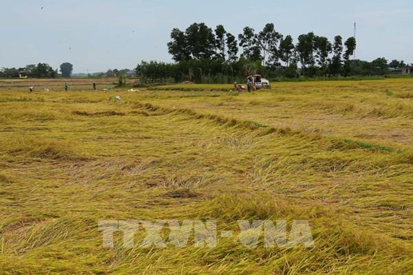 Lý giải hiện tượng dông lốc, mưa đá liên tục xảy ra ở Bắc Bộ