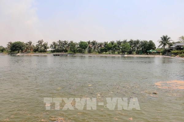 Người nuôi vẹm xanh ven biển thấp thỏm vì nạn khai thác trộm