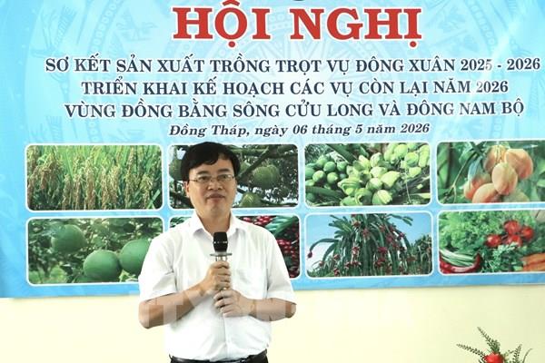 Ngành nông nghiệp Đồng Tháp dự kiến đạt sản lượng 1,42 triệu tấn lúa Hè Thu
