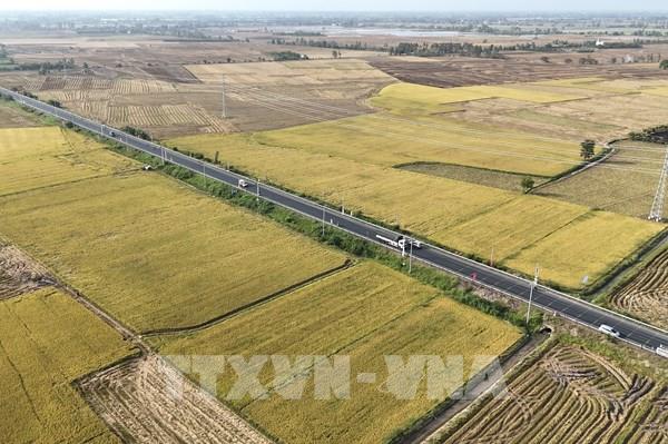 Hàn Quốc hỗ trợ dự án phát triển vùng trồng mè tại Việt Nam