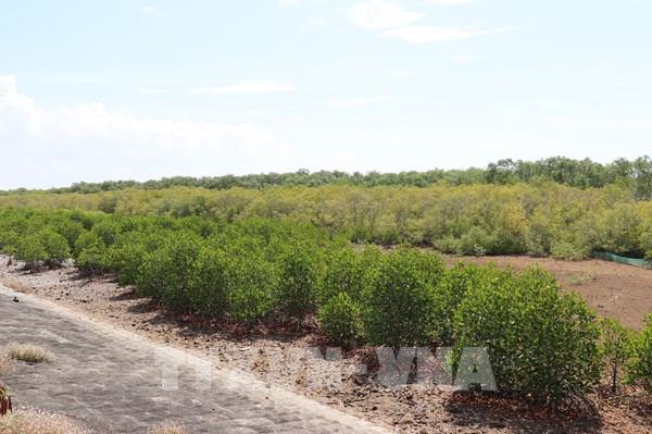 Gia Lai chuyển hơn 207 ha rừng phục vụ du lịch và thủy lợi