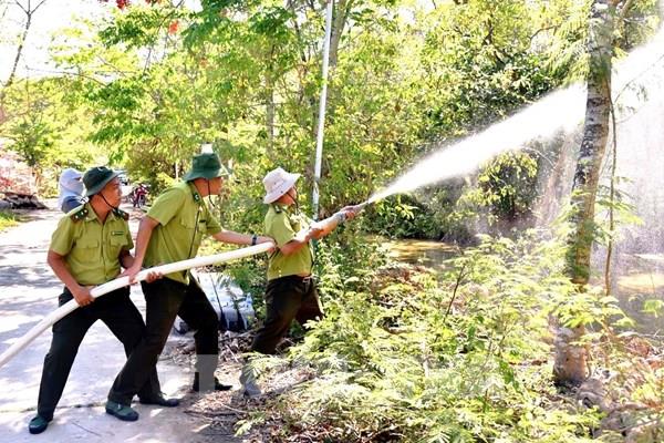 Cà Mau: Tổng diện tích rừng khô hạn có nguy cơ xảy ra cháy hơn 50.000 ha