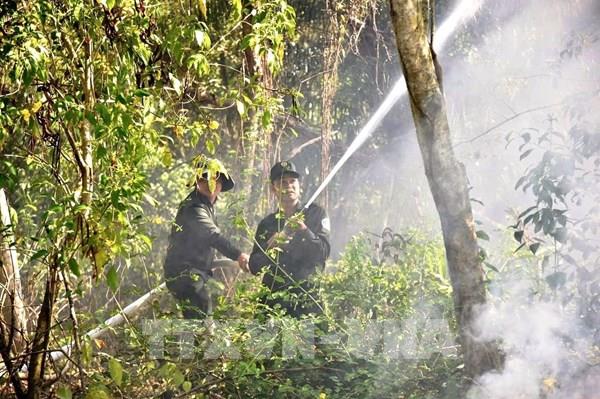 Quảng Trị: Cháy rừng tại giáp ranh hai xã Quảng Ninh và Ninh Châu