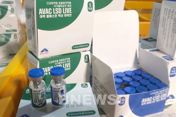Việt Nam xuất khẩu 1,1 triệu liều vaccine viêm da nổi cục sang Hàn Quốc