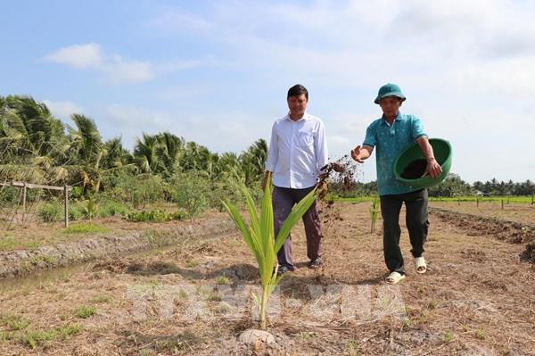 Vĩnh Long tập trung nguồn lực cho phát triển nông nghiệp - nông dân - nông thôn