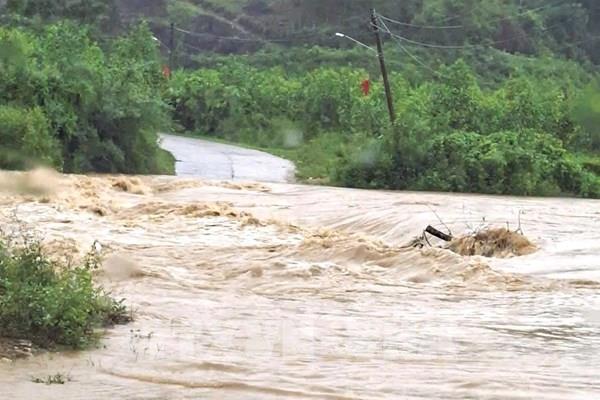 Rác và gỗ phủ kín lòng hồ thủy điện Bản Vẽ sau lũ