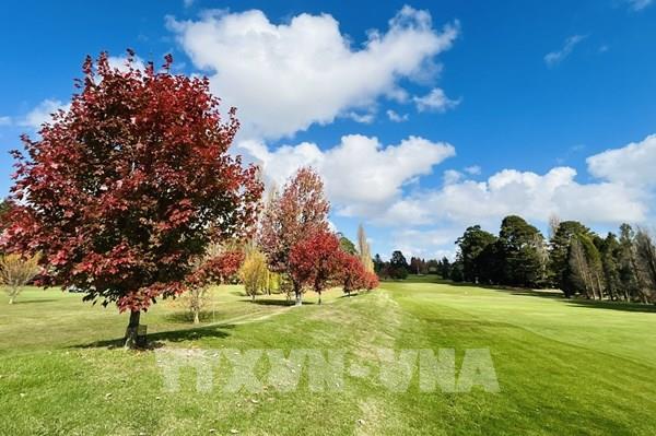 Vẻ đẹp quyến rũ và lay động lòng người của mùa Thu Australia