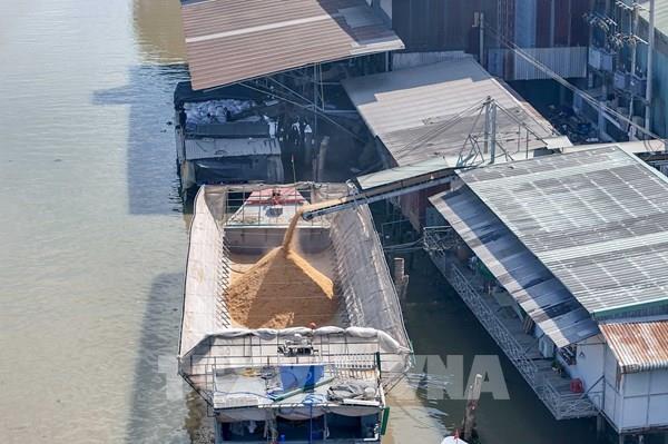 Cần Thơ: Hàng trăm hộ dân khốn khổ vì bụi cám bao vây suốt 10 năm