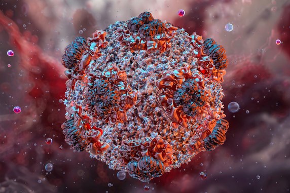 Virus Hanta và di sản của nhà khoa học Hàn Quốc
