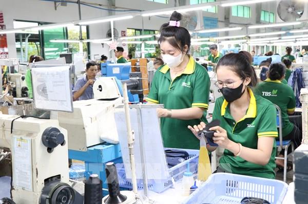 Vĩnh Long xuất khẩu cán mốc 1,23 tỷ USD dù thị trường biến động 
