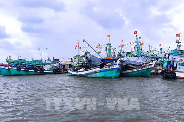 Cà Mau kiên quyết ngăn chặn và loại bỏ hoạt động khai thác IUU