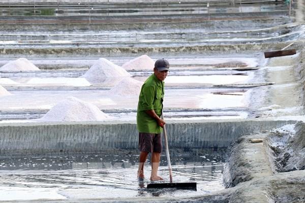 Hạt muối "mở đường" phát triển kinh tế biển