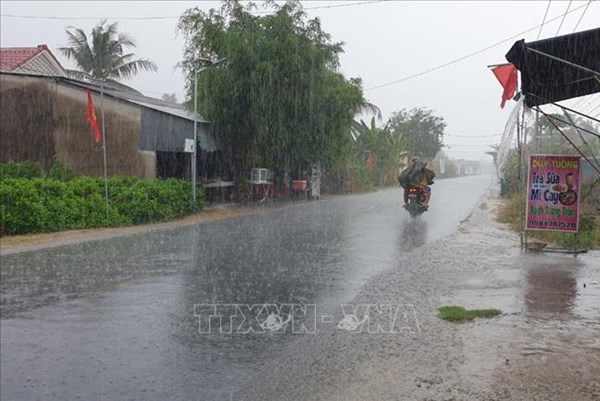 Vĩnh Long đón cơn mưa “vàng” giải nhiệt