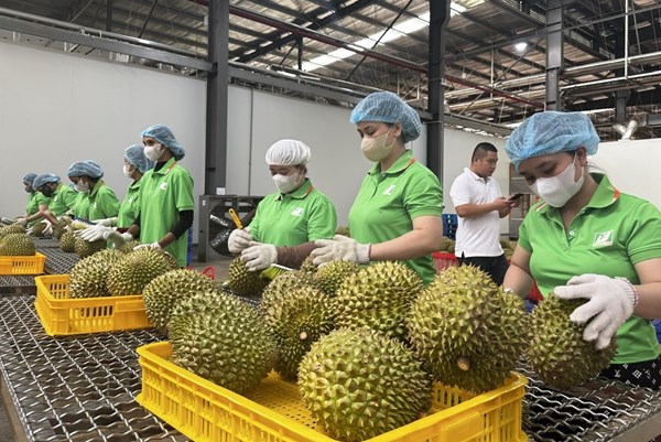 RCEP mở rộng cơ hội nhưng cũng đặt ra yêu cầu cao với nông sản Việt