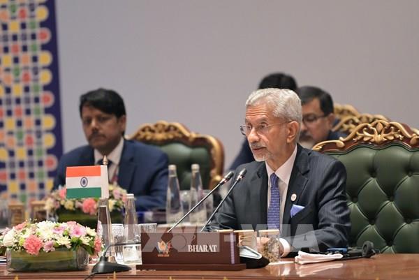Ấn Độ và Ai Cập kêu gọi BRICS thúc đẩy phối hợp trước các thách thức toàn cầu
