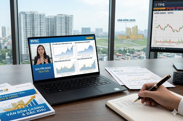 Cổ phiếu CEO, MCH, DPM và MSN: Loạt mã được khuyến nghị với kỳ vọng tăng trưởng tới 25%