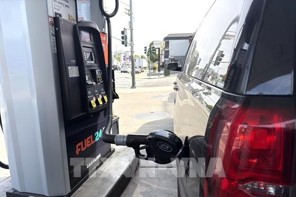 Giá xăng có thể giảm mạnh khi OPEC đứng trước nguy cơ tan rã