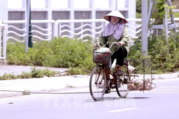 Phú Thọ nắng như đổ lửa: Người dân ngột ngạt gồng mình mưu sinh