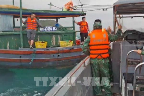 Kịp thời cứu 4 ngư dân gặp nạn trên vùng biển Cô Cô