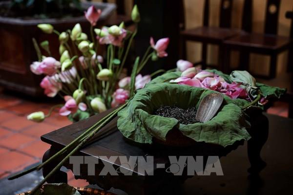 Hương sen lối cũ: Đánh thức không gian trà sen Hà Nội giữa lòng phố cổ