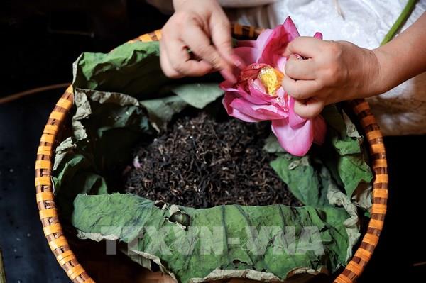 Đánh thức không gian trà sen Hà Nội giữa lòng phố cổ