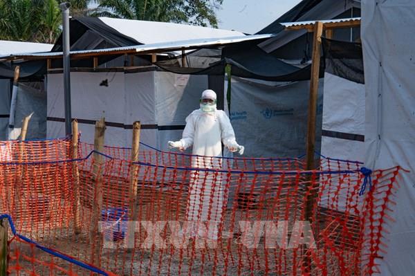 Biến thể Ebola hiếm gây lo ngại dịch lan rộng