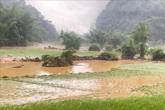 Mưa lớn, dông, lốc gây thiệt hại ước hơn 10 tỷ đồng
