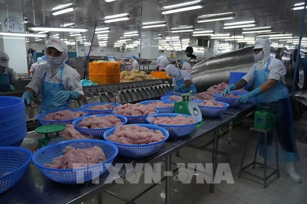 Chế biến sâu mở động lực tăng trưởng mới cho thủy sản Đồng Tháp