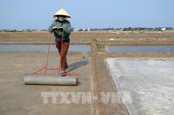 Quảng Ngãi ưu tiên đầu tư hạ tầng làng muối Sa Huỳnh
