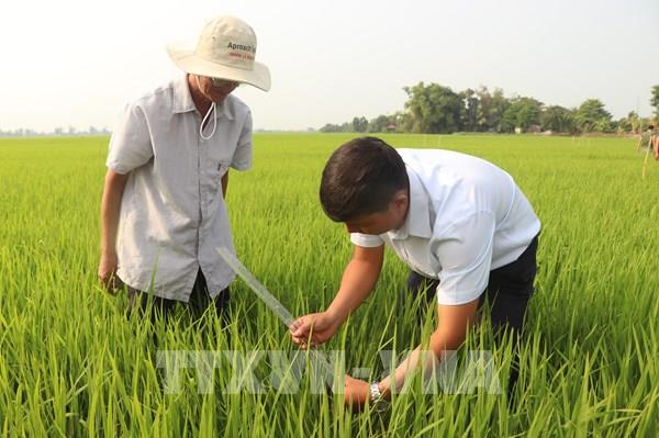 Gỡ "nút thắt" nhân sự hệ thống khuyến nông cộng đồng