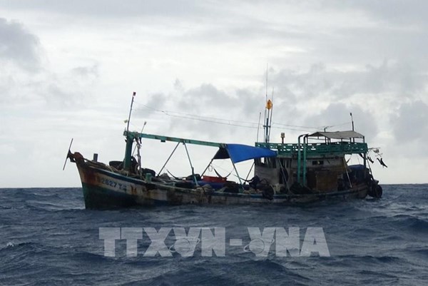 Tạm giữ tàu chở 10.000 lít dầu DO không rõ nguồn gốc