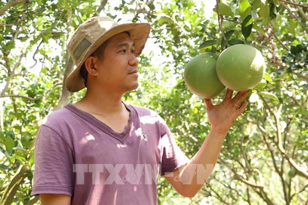 Truy xuất nguồn gốc, bảo hộ sở hữu trí tuệ tăng giá trị nông sản Việt