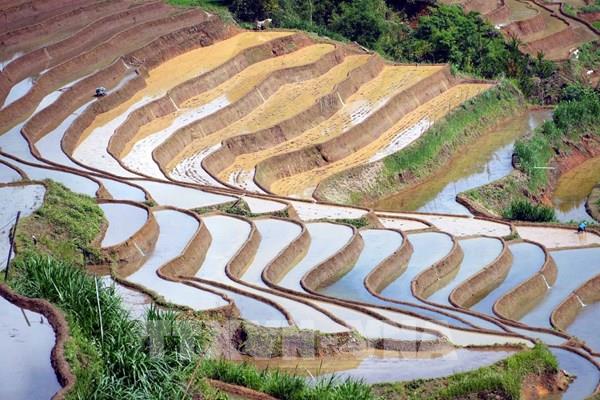 Vẻ đẹp ruộng bậc thang mùa nước đổ