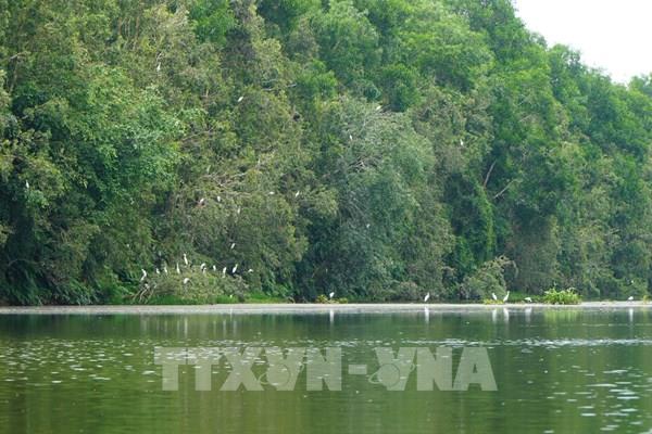 Hồi sinh vùng đất ngập nước: Trách nhiệm và kỳ vọng Đồng Tháp