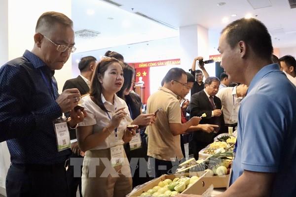 Hợp tác công nghệ mở dư địa lớn cho nông sản Việt Nam - Nhật Bản